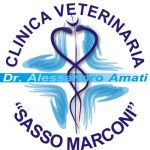 Clinica Veterinaria Sasso Marconi