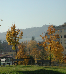 parco-collina-s.-biagio