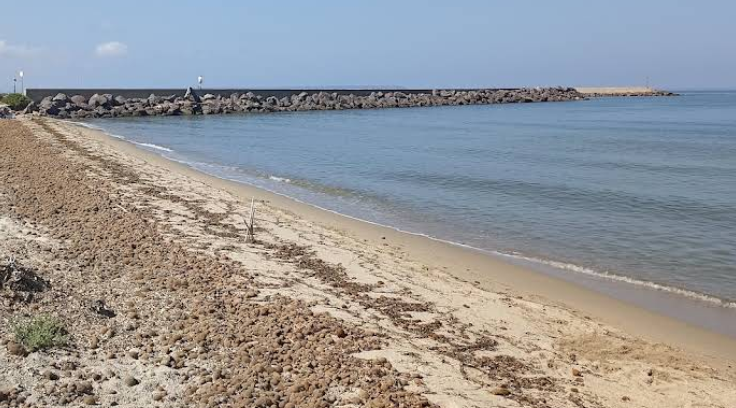 Chien Abbarossa Dog Beach