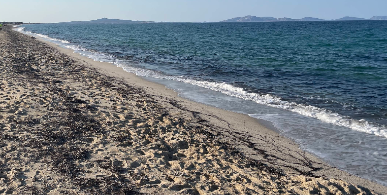 Spiaggia Per Cani Fiume Santo