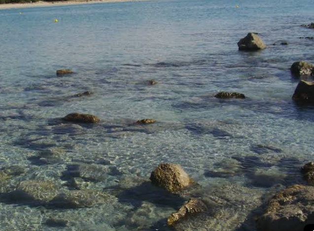 porto-pino2