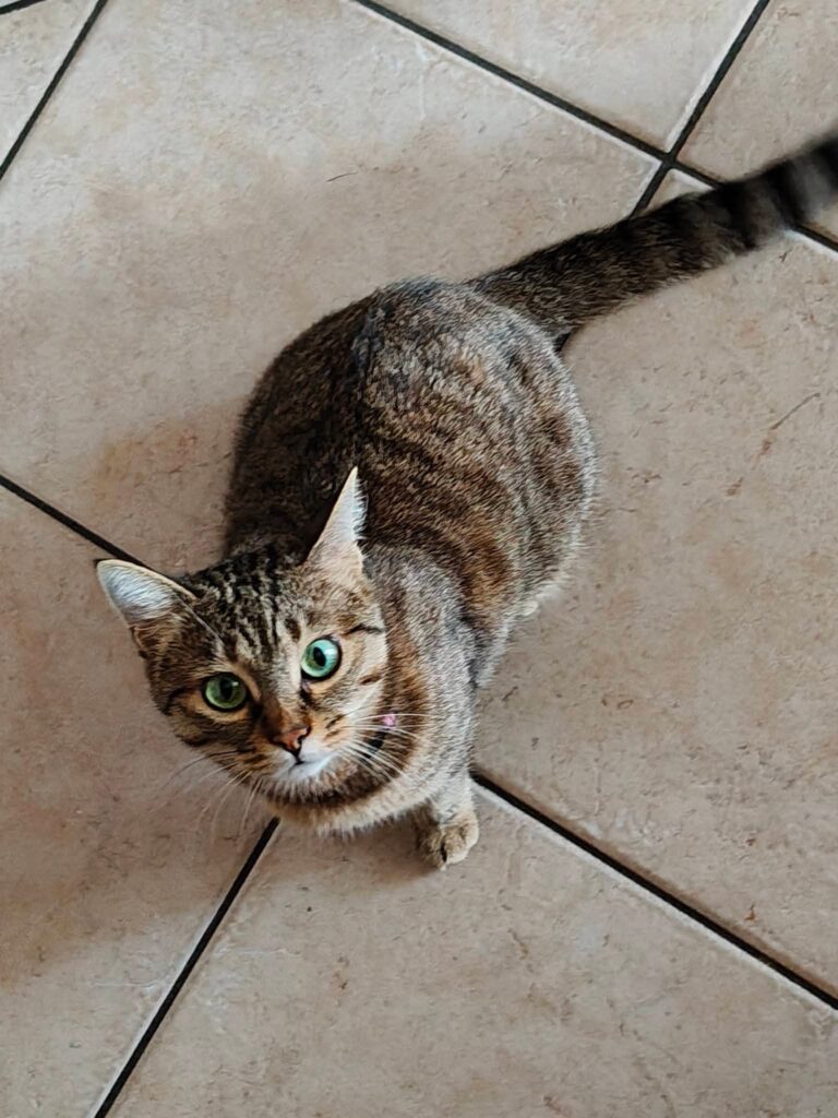 Nina