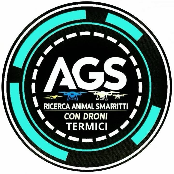 ags0