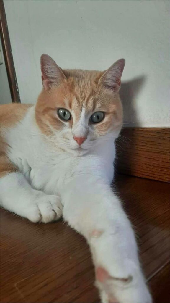 63929
