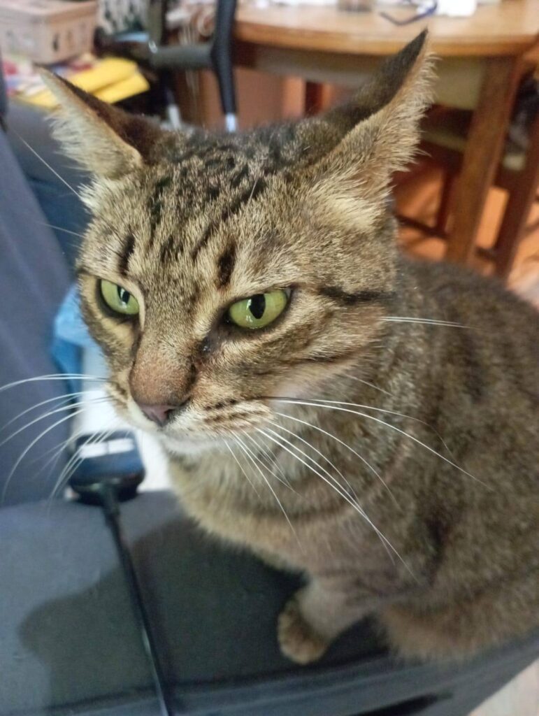 Sophie