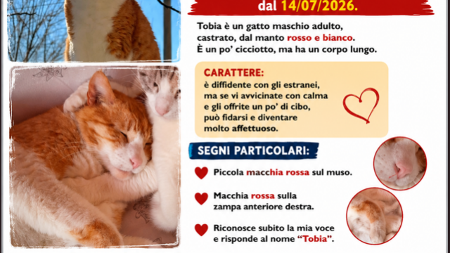 VOLANTINO-TOBIA_DEF