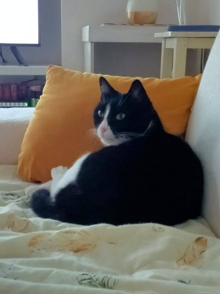 biko2